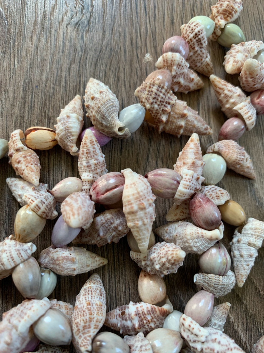 Vintage Hawaiian Shell Necklace - Picture 5 of 10